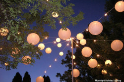 Paper Lantern and String Light Set