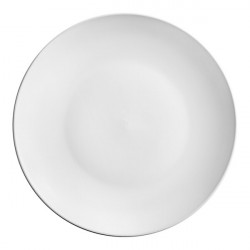 China 11 Matte White Dinner Plate