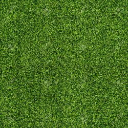 Turf - Green