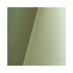 Seamist Polyester Napkin 20 x 20