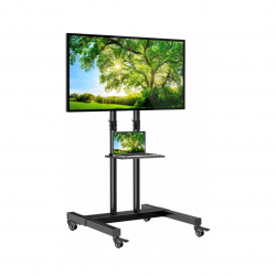 Mobile TV Stand