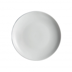 Matte White Dinner Plate 11