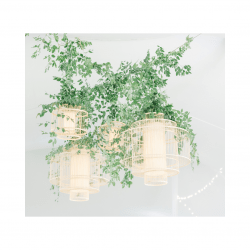 Birdcage Chandelier Cluster