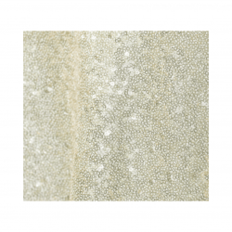 Textured/Sequined Linens