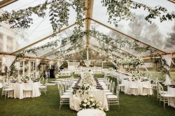 30' x 110' Clear Gable Structure Tent
