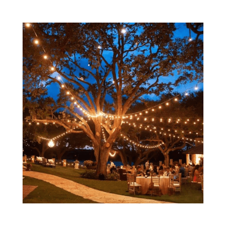Tent & Outdoor Lighting