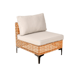 Palm Spring Chair