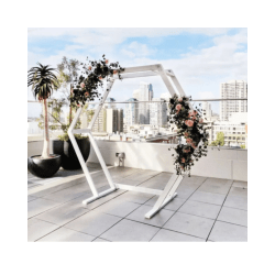 White Hexagon Arch