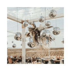 Disco Ball Cluster (Standard Mix)