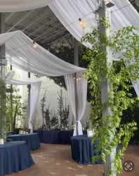 Atrium Ceiling & Column Draping