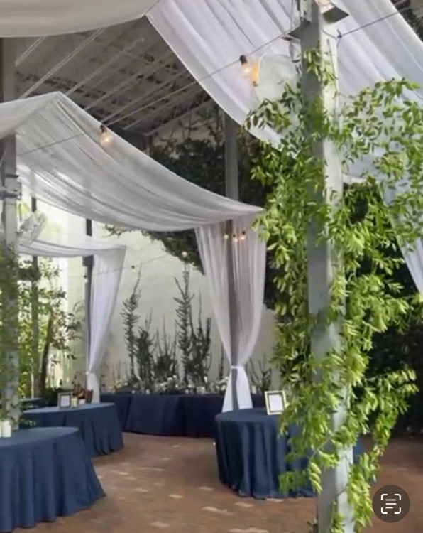 Atrium Ceiling & Column Draping