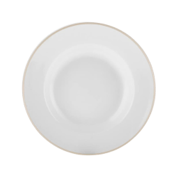 Gold Rimmed Dinner Plate 10 3/4