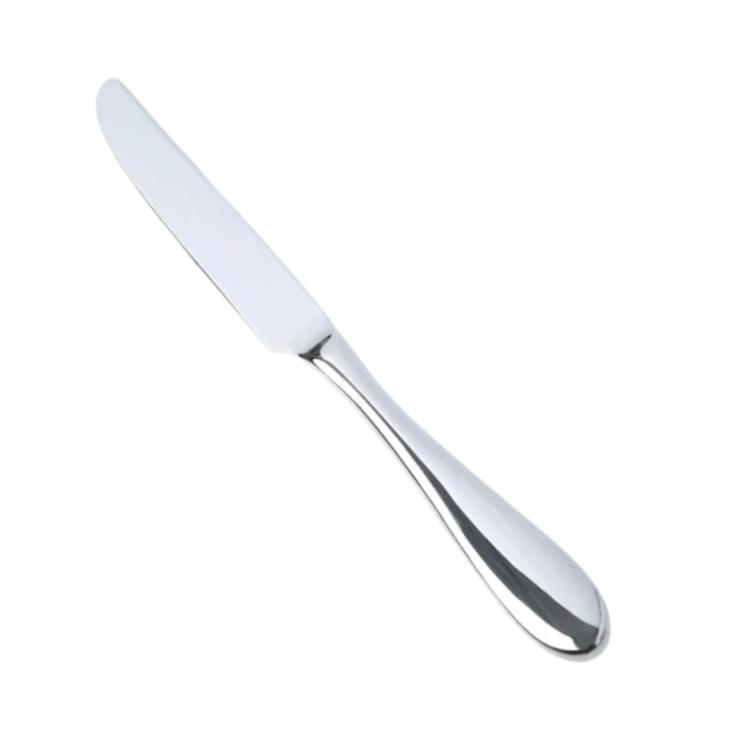 Polished Chrome Dinner Knife