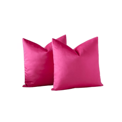 Pinky The Velvet Pillow