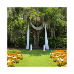 Wrightsville Manor Oak Tree Drape - Signature