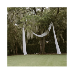Wrightsville Manor Oak Tree Drape - Luxe