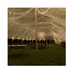 Dual Tube Parallel String Lighting