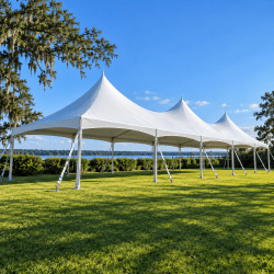 20' X 60' High Peak Tent