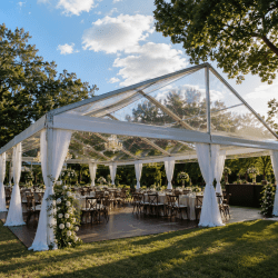 30' X 48' Cleartop Gable Structure Tent